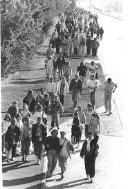 Image result for Basildon Barstable