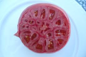 Afbeeldingsresultaat voor grubbs mystery green tomato