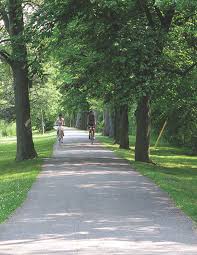 Image result for Wainfleet & District Sporting Mcc