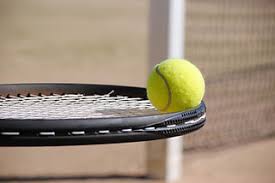 Image result for Mole Valley Mini Tennis Club
