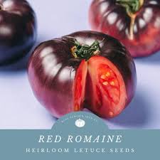 Afbeeldingsresultaat voor black brandywine tomato