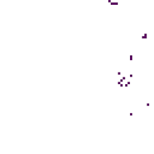 Attēlu rezultāti vaicājumam “Heyderia pusilla”