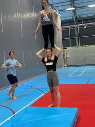 Image result for York University Gymnastics Club