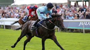 Image result for Acomb Sports Club