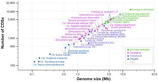 Image result for genome sizes
