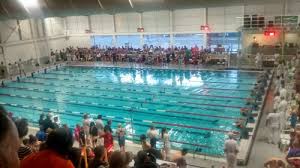 Image result for Kingsbridge Kingfishers Swimming Club