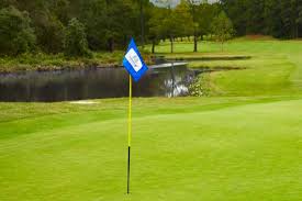 Image result for Stonehenge Badminton Club