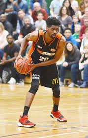 Image result for Essex Leopards