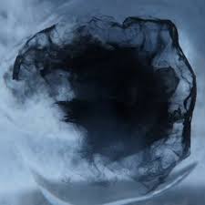 Attēlu rezultāti vaicājumam “Adoxus obscurus”