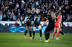 Image result for Gotham Soccer League