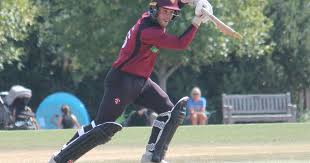 Image result for South Wilts Cricket Club