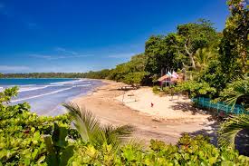 Image result for cahuita costa rica