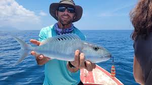 Image result for Aprion virescens