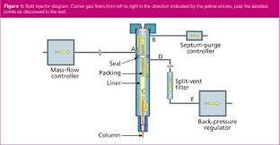 Image result for Splitz Gc