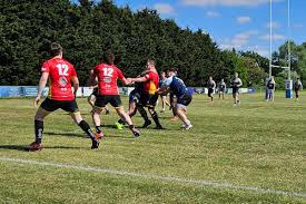 Image result for St Albans Rugby Football Sports & Social Club