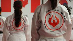 Image result for York University Taekwondo Club