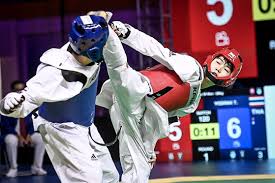 Image result for Park Place Olympic Tkd