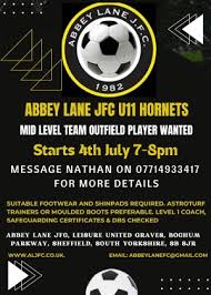 Image result for Abbey Lane Junior Football Club