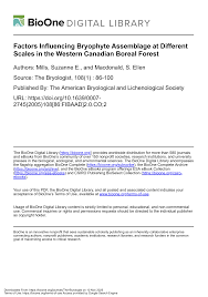 Attēlu rezultāti vaicājumam “Platydictya jungermannioides macro”