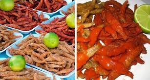 Attēlu rezultāti vaicājumam “Charales”