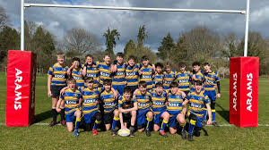 Image result for Ellingham and Ringwood Rugby Club