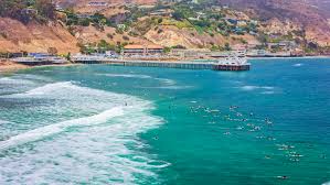 Image result for Scarborough Malibu Surf Club