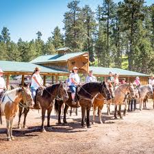 Image result for Palmers Riding Stables