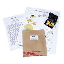 Attēlu rezultāti vaicājumam “Didymium nigripes spores”