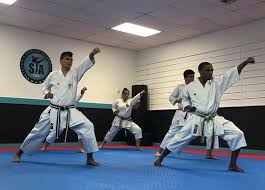 Image result for Hetton and Murton Karate Academy