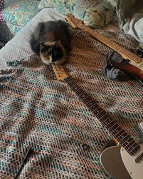 Image result for Cat sleeping in guitar