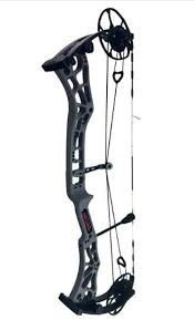 Image result for Acorn Archers