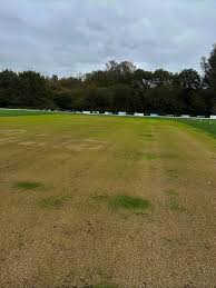 Image result for Vernon Carus Sports Club