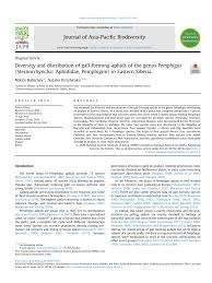 Attēlu rezultāti vaicājumam “Thecabius affinis imago”