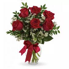 Image result for Red Rose Cc