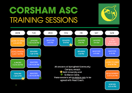 Image result for Corsham Amateur Swimming Club