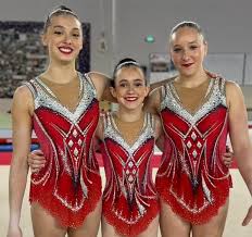 Image result for King Edmund Acro Gymnastics Club