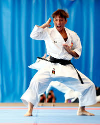 Image result for Katakuri Karate