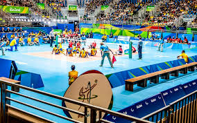 Image result for Nottingham Rockets Sitting Volleyball