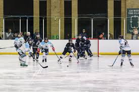 Image result for Haringey Greyhounds Ice Hockey Club