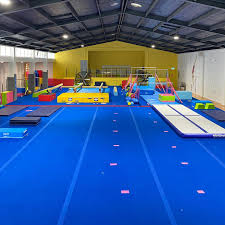Image result for Ipswich Gymnastics
