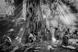 Image result for sebastiao salgado