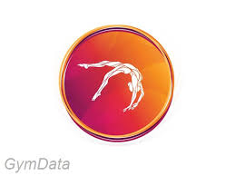 Image result for Basingstoke Gymnastics Club