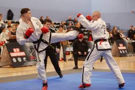 Image result for Turners Tae Kwon Do