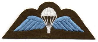 Image result for British Parachute Schools
