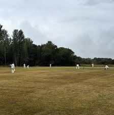 Image result for South Weald Cricket Club