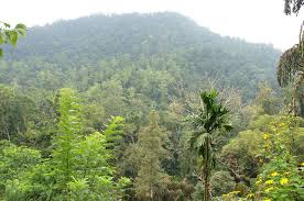 Image result for синхараджа