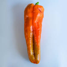 Afbeeldingsresultaat voor aconcagua sweet pepper