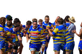 Image result for Hamilton Rugby Football Club