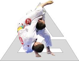 Image result for Yeo Dojo Also Teaching Gracie Jujutsu