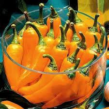 Afbeeldingsresultaat voor marconi golden sweet pepper